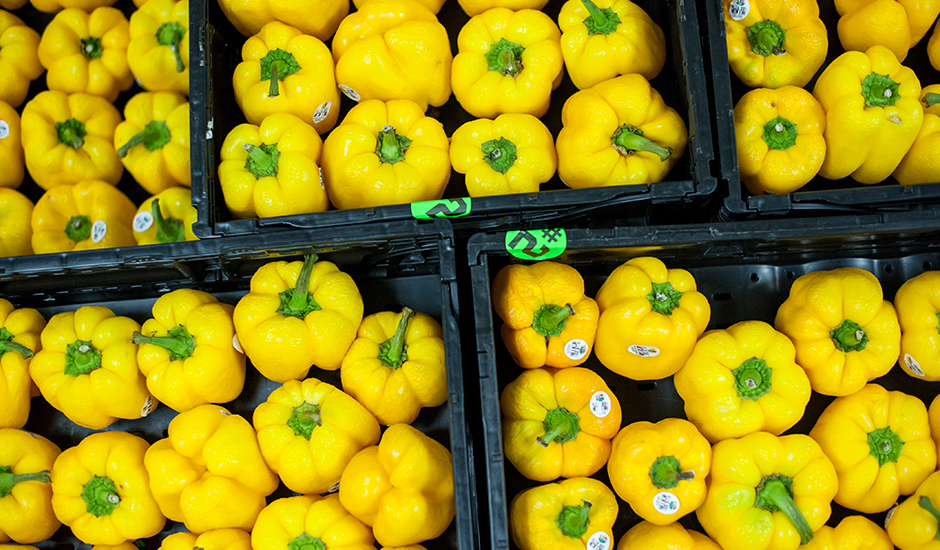 yellow bell peppers yellow bell peppers